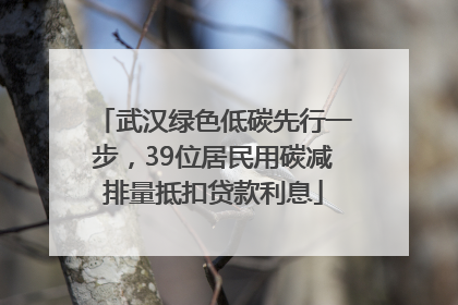 武汉绿色低碳先行一步，39位居民用碳减排量抵扣贷款利息
