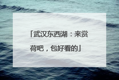 武汉东西湖：来赏荷吧，包好看的