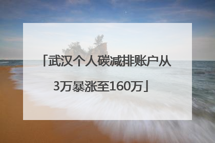 武汉个人碳减排账户从3万暴涨至160万