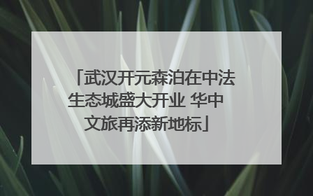武汉开元森泊在中法生态城盛大开业 华中文旅再添新地标
