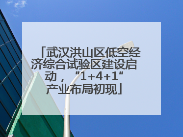 武汉洪山区低空经济综合试验区建设启动，“1+4+1”产业布局初现