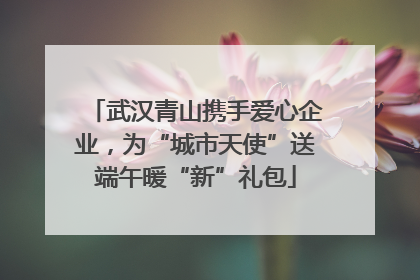 武汉青山携手爱心企业，为“城市天使”送端午暖“新”礼包