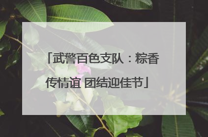 武警百色支队：粽香传情谊 团结迎佳节