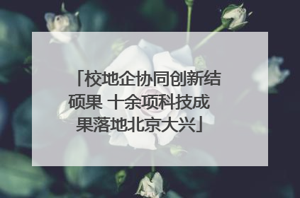校地企协同创新结硕果 十余项科技成果落地北京大兴