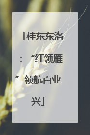 桂东东洛：“红领雁”领航百业兴