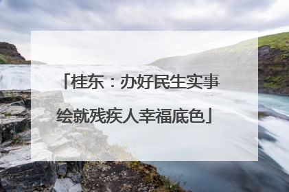 桂东：办好民生实事 绘就残疾人幸福底色