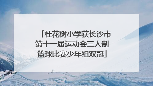 桂花树小学获长沙市第十一届运动会三人制篮球比赛少年组双冠
