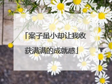 案子虽小却让我收获满满的成就感