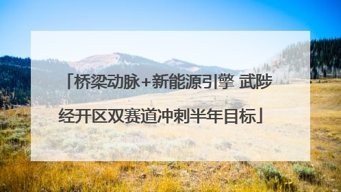 桥梁动脉+新能源引擎 武陟经开区双赛道冲刺半年目标