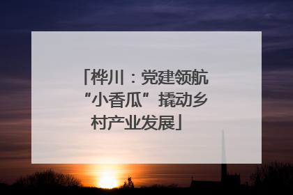 桦川：党建领航“小香瓜”撬动乡村产业发展