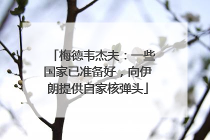 梅德韦杰夫：一些国家已准备好，向伊朗提供自家核弹头