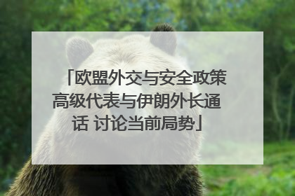 欧盟外交与安全政策高级代表与伊朗外长通话 讨论当前局势