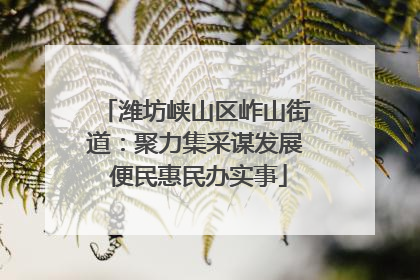 潍坊峡山区岞山街道：聚力集采谋发展 便民惠民办实事