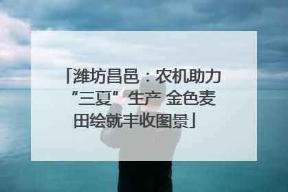 潍坊昌邑：农机助力“三夏”生产 金色麦田绘就丰收图景