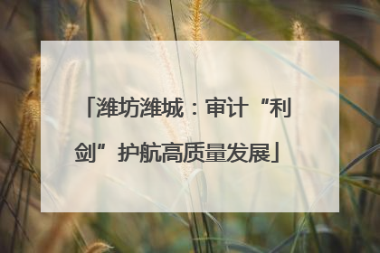 潍坊潍城：审计“利剑”护航高质量发展