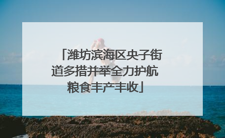 潍坊滨海区央子街道多措并举全力护航粮食丰产丰收
