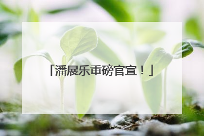 潘展乐重磅官宣！