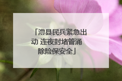 澧县民兵紧急出动 连夜封堵管涌除险保安全