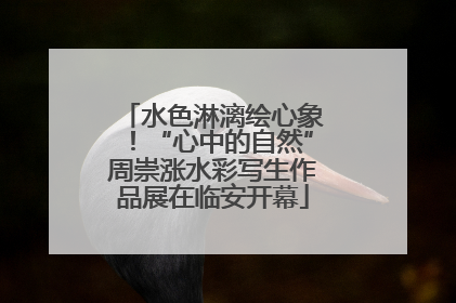 水色淋漓绘心象！“心中的自然”周崇涨水彩写生作品展在临安开幕