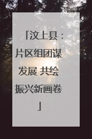 汶上县：片区组团谋发展 共绘振兴新画卷