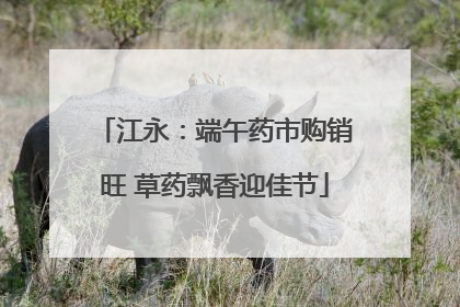 江永：端午药市购销旺 草药飘香迎佳节