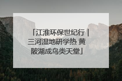 江淮环保世纪行｜三河湿地研学热 黄陂湖成鸟类天堂
