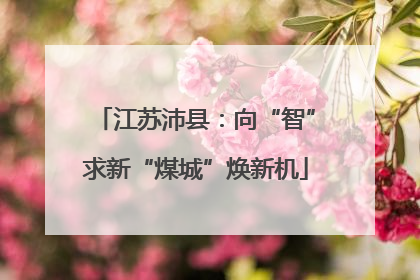 江苏沛县：向“智”求新“煤城”焕新机