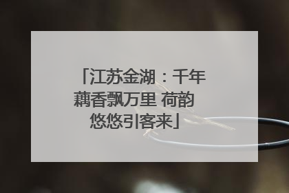 江苏金湖：千年藕香飘万里 荷韵悠悠引客来