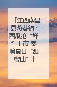 江西南昌县蒋巷镇：西瓜抢“鲜”上市 奏响夏日“甜蜜曲”