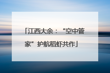 江西大余：“空中管家”护航稻虾共作
