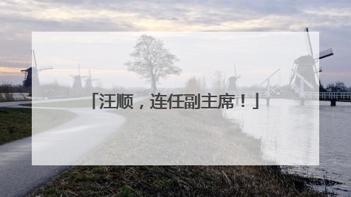 汪顺，连任副主席！