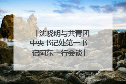 沈晓明与共青团中央书记处第一书记阿东一行会谈