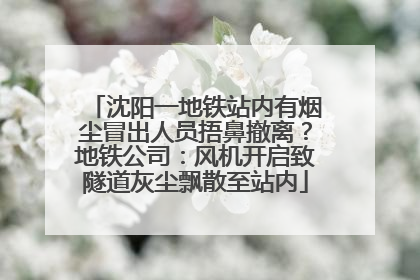 沈阳一地铁站内有烟尘冒出人员捂鼻撤离？地铁公司：风机开启致隧道灰尘飘散至站内