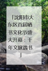 沈阳市大东区首届晒书文化节盛大开幕：千年文脉遇书