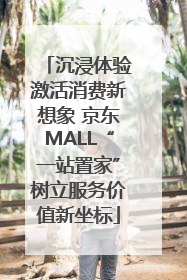 沉浸体验激活消费新想象 京东MALL“一站置家”树立服务价值新坐标