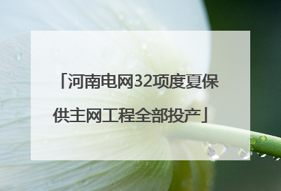 河南电网32项度夏保供主网工程全部投产