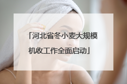河北省冬小麦大规模机收工作全面启动