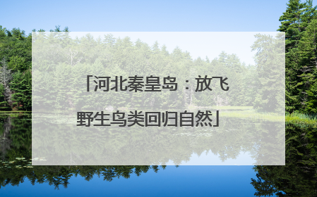 河北秦皇岛：放飞野生鸟类回归自然