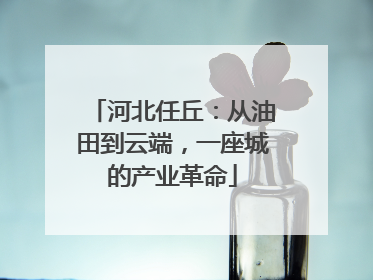 河北任丘：从油田到云端，一座城的产业革命