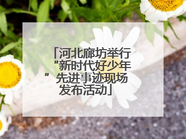 河北廊坊举行“新时代好少年”先进事迹现场发布活动