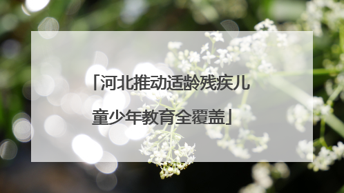 河北推动适龄残疾儿童少年教育全覆盖