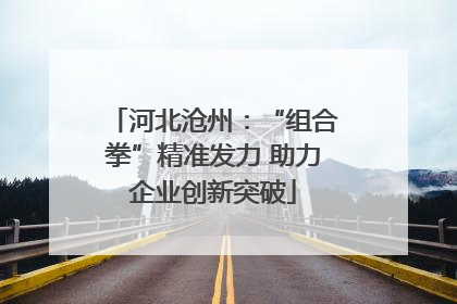 河北沧州：“组合拳”精准发力 助力企业创新突破
