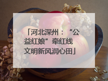 河北深州：“公益红娘”牵红线 文明新风润心田