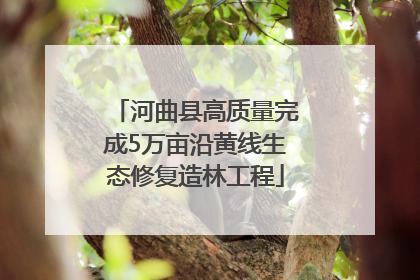 河曲县高质量完成5万亩沿黄线生态修复造林工程