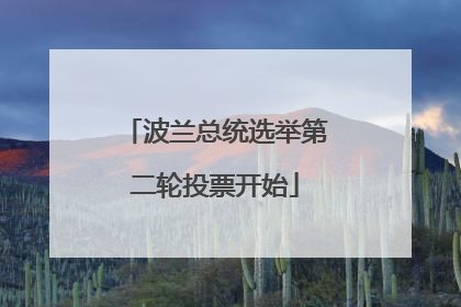 波兰总统选举第二轮投票开始