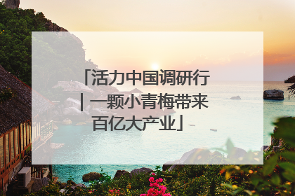 活力中国调研行｜一颗小青梅带来百亿大产业