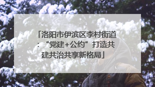 洛阳市伊滨区李村街道：“党建+公约”打造共建共治共享新格局