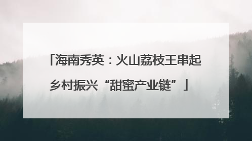 海南秀英：火山荔枝王串起乡村振兴“甜蜜产业链”