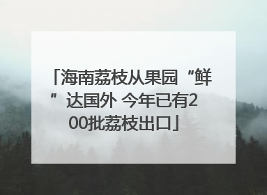 海南荔枝从果园“鲜”达国外 今年已有200批荔枝出口
