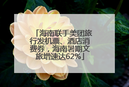 海南联手美团旅行发机票、酒店消费券，海南暑期文旅增速达62%